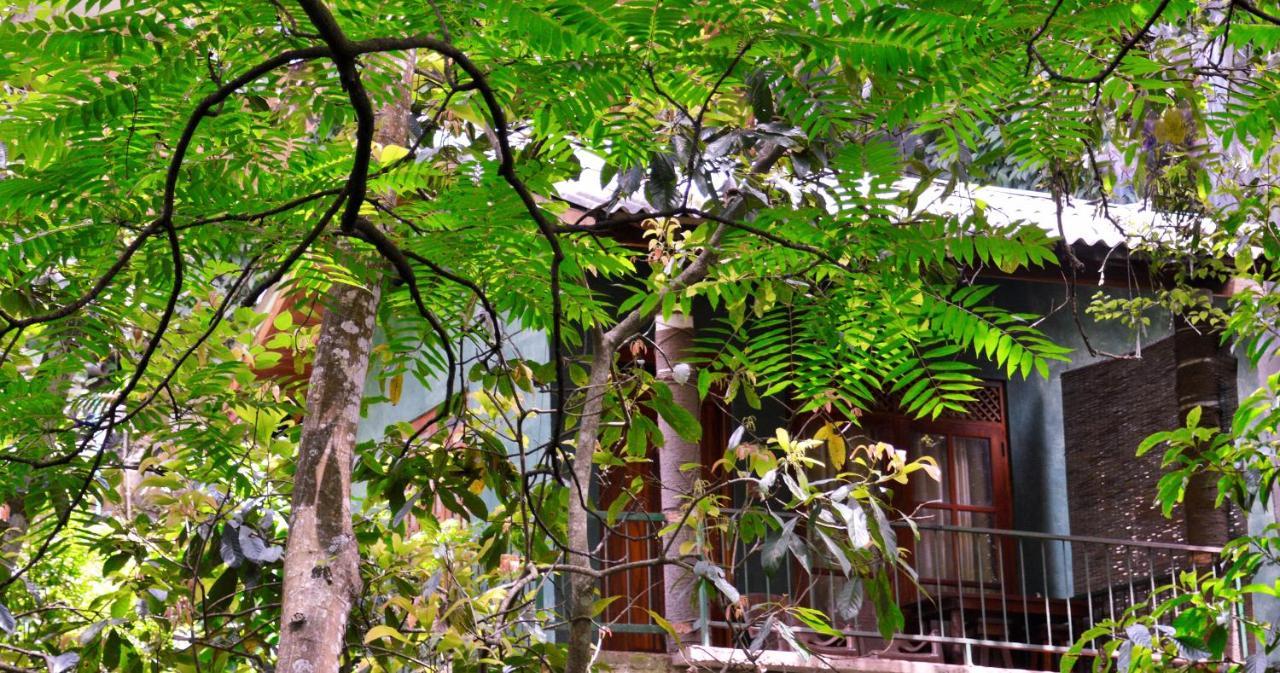Ella Green Cottages Exterior foto