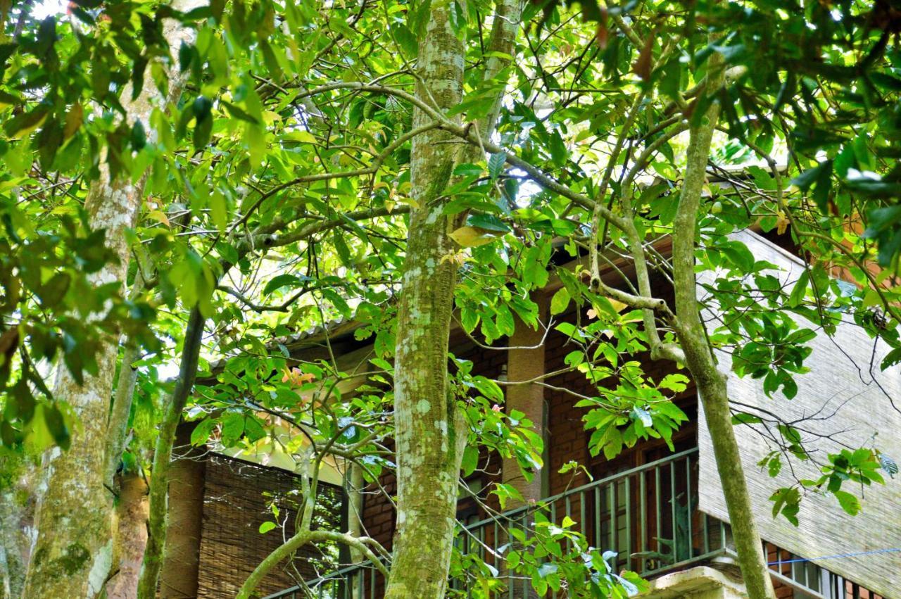 Ella Green Cottages Exterior foto