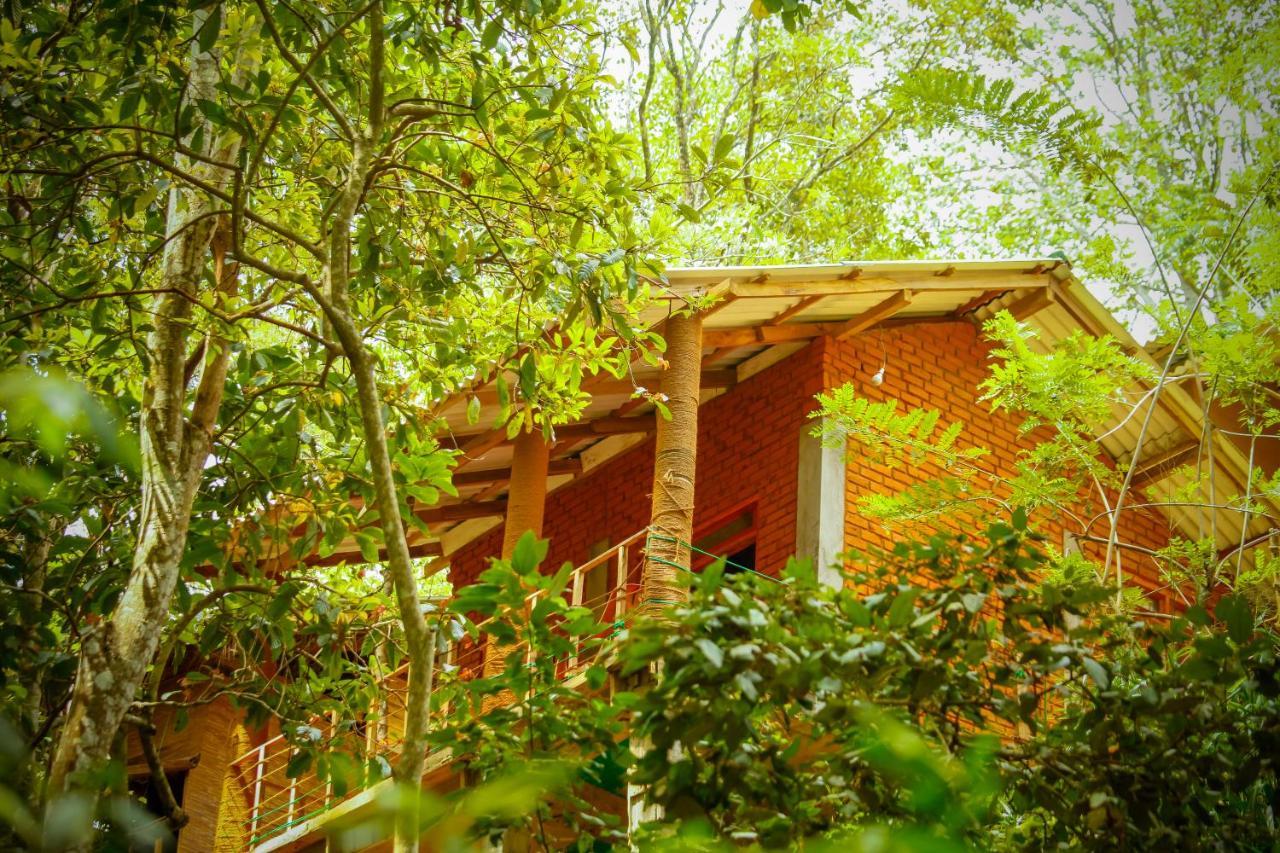 Ella Green Cottages Exterior foto